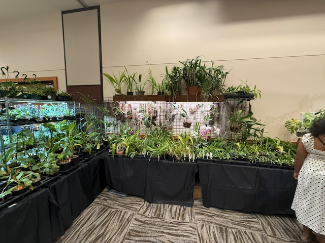 We're at the Indoor Plant Festival This Year!