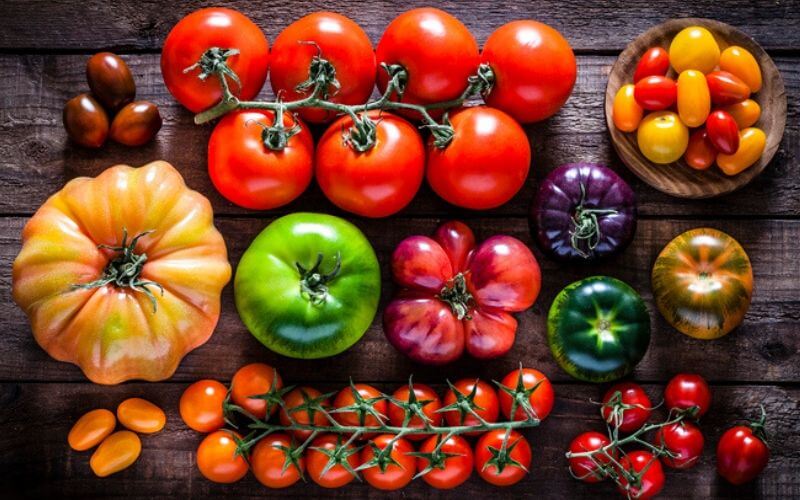 Specialty Tomatoes